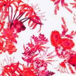 Mario Serrani Ladies Shift Dress, Floral Print - Image 8